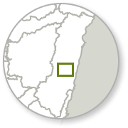 minimap