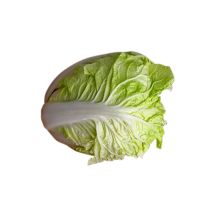 大白菜