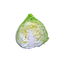 高麗菜
